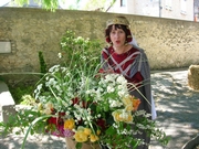 PROVINS 2006
