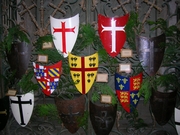 PROVINS 2006
