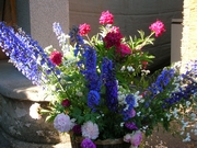 PROVINS 2006
