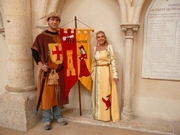 PROVINS 2008