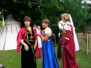 PROVINS 2008