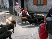 PROVINS 2008