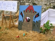 PROVINS 2008