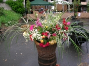 PROVINS 2008