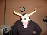 Carnaval 2008