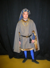 Défilé de costumes 2008