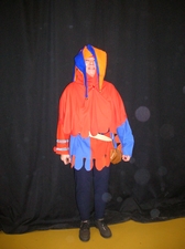 Défilé de costumes 2008