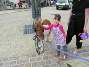 Farandole 2009