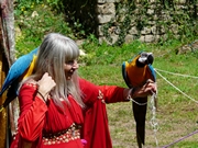 Château de Thil 08/08/2014